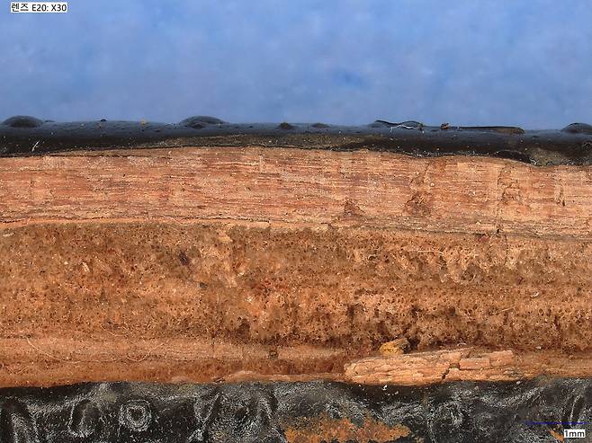 창원 다호리 1호 출토 붓의 세포 구조 디지털현미경 30배율 [국립김해박물관 제공. 재판매 및 DB 금지]