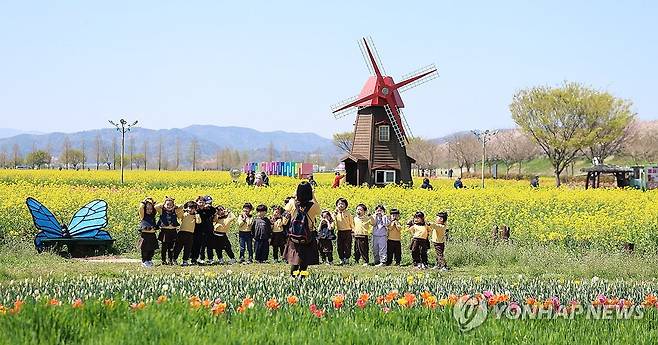 봄 추억 (창녕=연합뉴스) 김동민 기자 = '제21회 창녕 낙동강유채축제' 개막을 하루 앞둔 8일 오후 경남 창녕군 남지읍 창녕 낙동강 유채단지에서 함안 주원유치원 원아들이 기념 촬영하고 있다. 2026.4.8 image@yna.co.kr