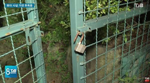 지난 2018년 대전 오월드에서 탈출한 뒤 결국 사살됐던 퓨마 '뽀롱이'