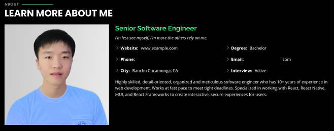 북한 IT 인력이 사용한 이력서. [구글 클라우드 블로그 갈무리]