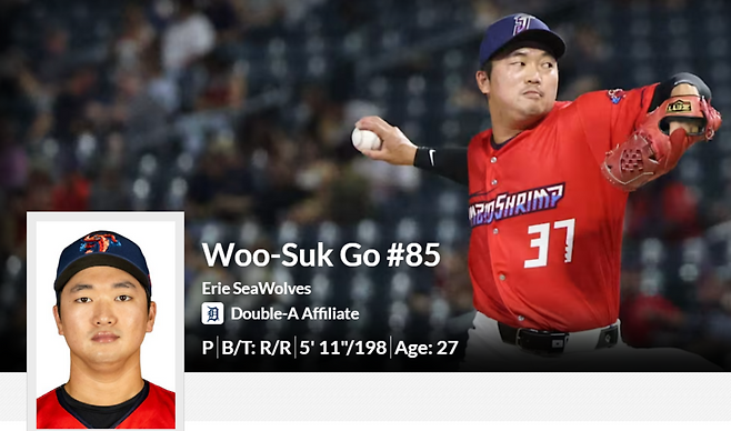 ▲ 디트로이트 구단 산하 트리플A팀인 톨레도는 9일(한국시간) 고우석을 구단 산하 더블A팀인 이리 시울브스로 이관했다고 밝혔다. 고우석의 프로필에 적힌 소속팀 또한 수정됐다 ⓒMilb.com 캡처