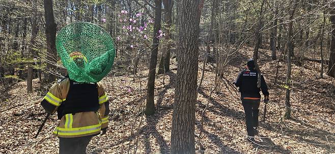 대전 오월드 인근에서 탈출한 늑대 ‘늑구’를 찾기 위해 수색하는 소방 당국. (사진제공=대전소방본부)