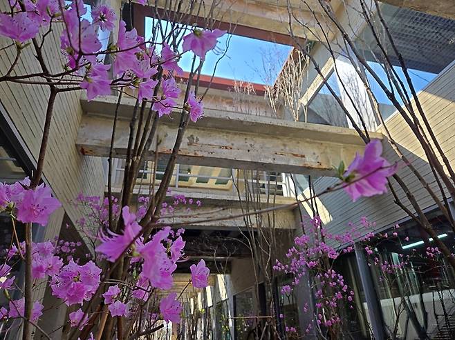 ▲박봉담 중앙정원 천장이 뚫려있다. 사진=송민규 기자