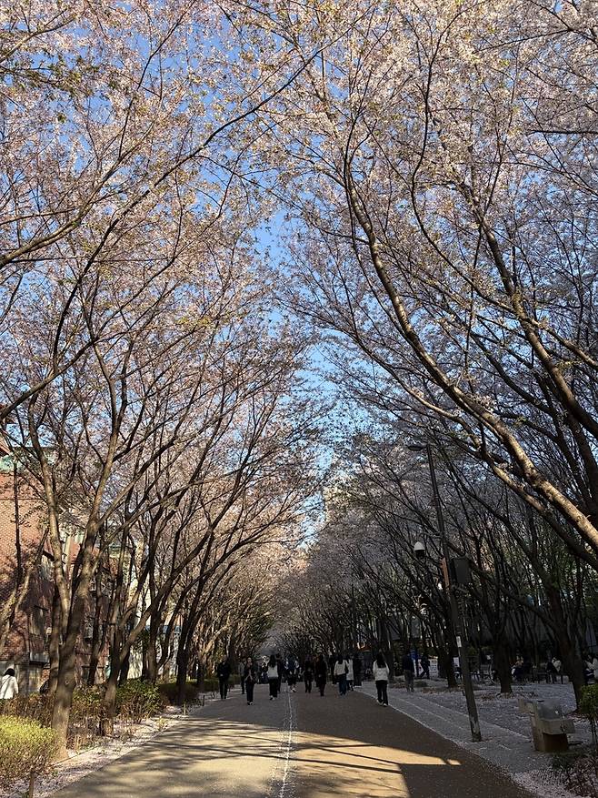 ▲경의선 숲길 왼편으로 낮은 층수의 음식점·카페 건물이 자리한 모습. 사진=송윤주기자