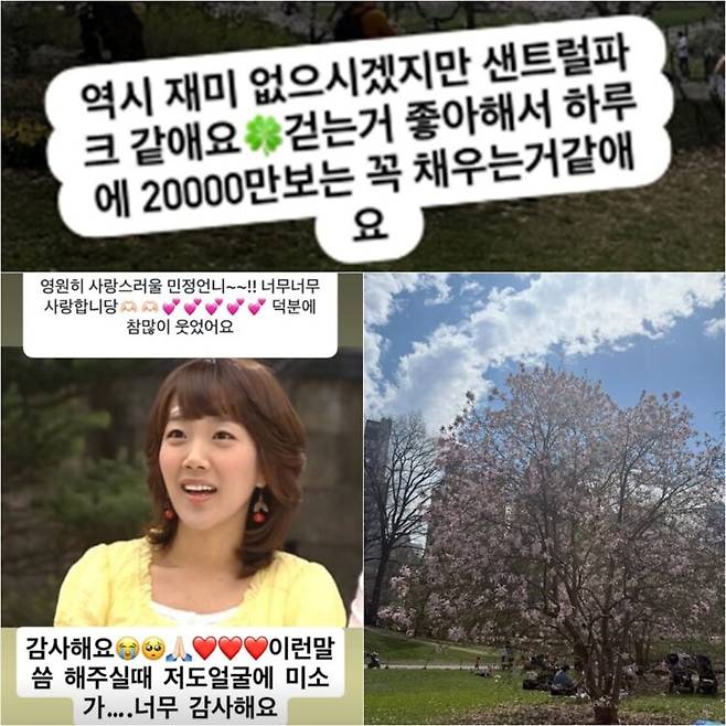 서민정은 오전 오후 반려견과 총 2만보 걷기를 지키고 있다. 꽃이 활짝 핀 뉴욕 센트럴파크는 서민정이 즐겨 찾는 산책 코스다. 사진=서민정 SNS 캡처