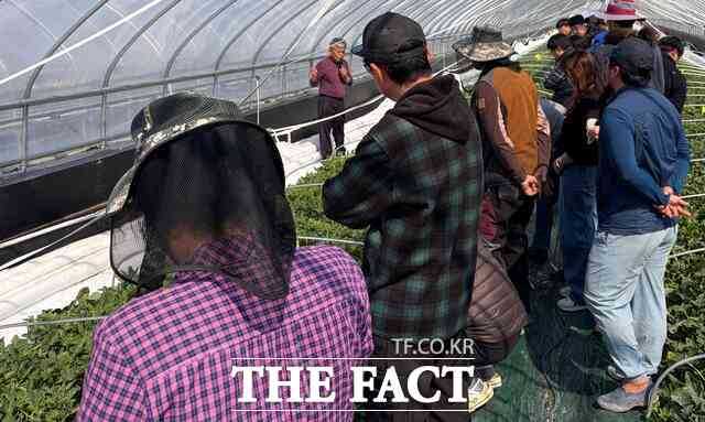 성주군이 지역 대표 특산물인 참외 산업의 경쟁력 강화를 위해 현장 중심의 전문 농업인 양성에 속도를 내고 있다. /성주군