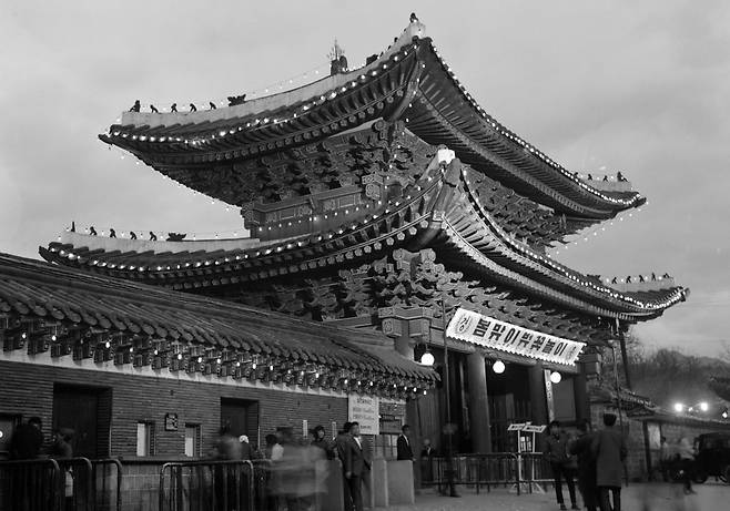 창경원 봄맞이 벚꽃놀이, 당시 서울에서 가장 많은 사람들이 몰리던 놀이 시설이 있었다. 1960년대. / 사진가 김한용