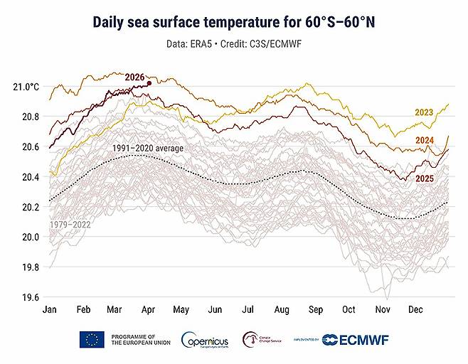 역대 최악과 맞먹는 ‘끓는 바다’. 검은색 굵은 선(2026년)이 과거 평균(점선)을 한참 지나, 역대 가장 뜨거웠던 2024년 기록에 바짝 붙어 있다. 올해 바다 온도가 한계치에 다다랐음을 보여준다. 연합뉴스 제공