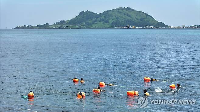 제주 해녀들의 물질 [연합뉴스 자료사진]