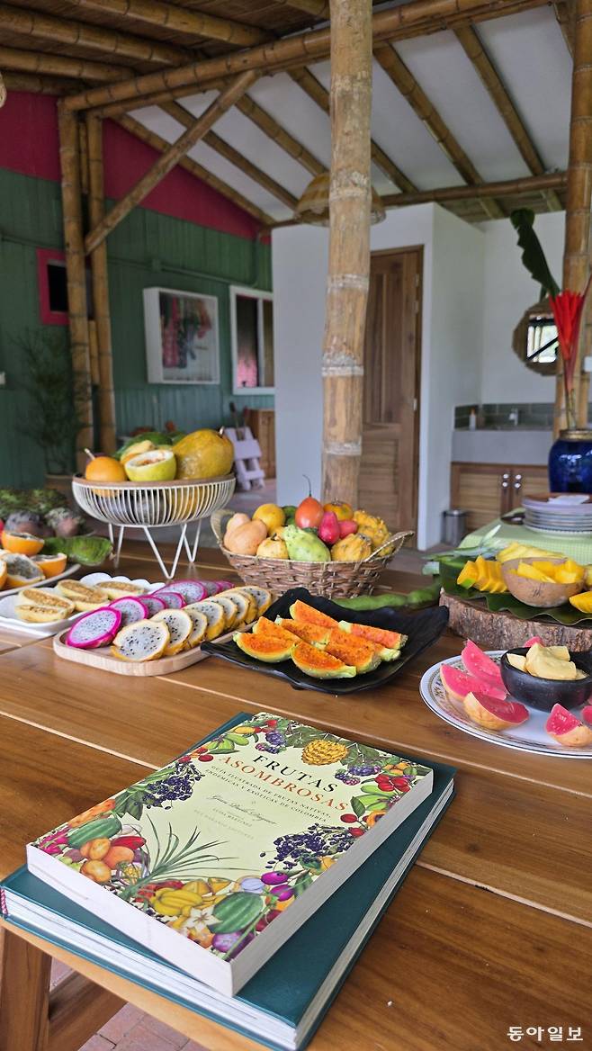 모양도 이름도 처음 보고 듣는 콜롬비아의 과일 시식 체험 현장.