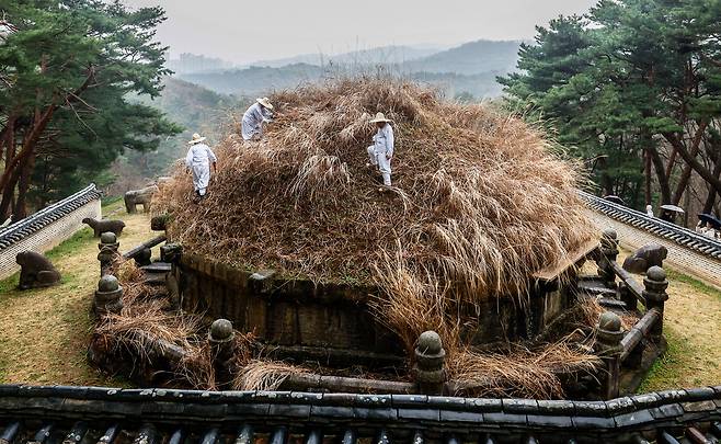 절기상 한식(寒食)인 6일 경기 구리시 동구릉 내 태조 이성계의 건원릉(健元陵)에서 동구릉 관리사무소 관계자들이 봉분을 덮고 있는 억새를 자르는 ‘청완 예초의’를 거행하고 있다. 건원릉은 조선왕릉 중 유일하게 봉분이 억새로 덮여있는데, 조선왕조실록 등 기록에 따르면 태조의 유언에 따라 고향인 함흥의 억새를 옮겨와 봉분을 조성했다고 전해진다. 구리=유희태 기자