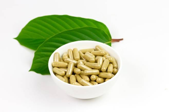 크라톰 잎으로 만든 캡슐. 123rf