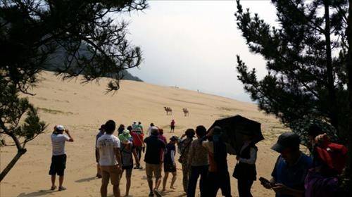 옹진군 대청도 옥죽동 사구는 계절에 따라 모래가 이동하는 활동성 사구로 현지 주민들은 '대청도 모래사막'이라고 부른다. [사진=연합뉴스]