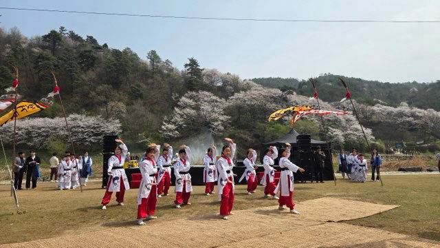 충주시립택견단 '생거진천 농다리축제' 공연 모습.(사진=충주시 제공)