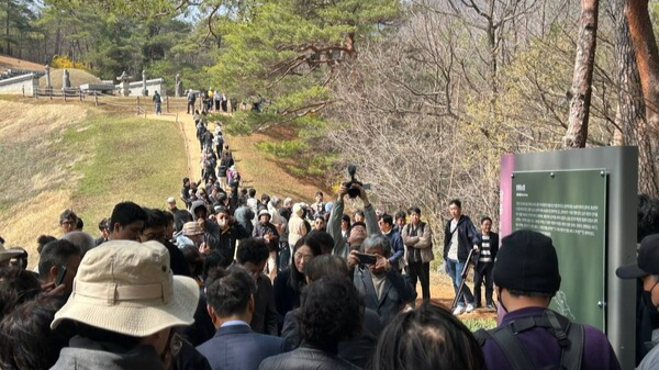 지난 11일 단종(재위 1452∼1455)의 능인 강원 영월 장릉 일대 모습. 국가유산청은 사후 500여 년간 서로 다른 곳에 모셔 온 단종과 정순왕후의 만남을 상징적으로 풀어내고자 들꽃 800여 본을 옮겨 심었다. 연합뉴스