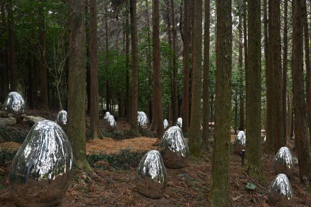 장흥 정남진 편백숲 우드랜드 숲속 조형물 풍경. /최현배 기자