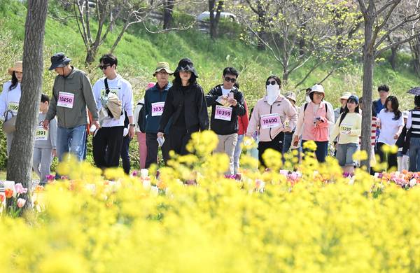 창녕군과 (사)창녕낙동강유채축제위원회, 경남도민일보가 함께한 제9회 창녕 유채꽃 라디엔티어링 행사가 창녕군 남지읍 낙동강변 유채단지에서 열렸다.걷기대회 참가자들이 노란 꽃물결을 따라 걷고 있다./김구연 기자