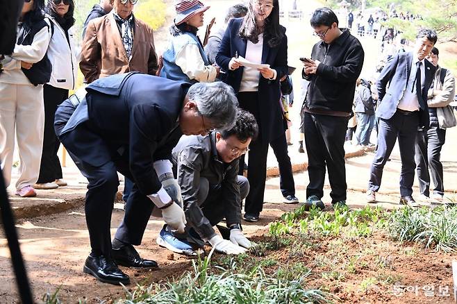 허민 국가유산청장(가운데)이 11일 오후 단종의 능인 강원 영월군 장릉 내 정령송 인근에 정순왕후의 능인 남양주 사릉에서 채취해 온 들꽃이 식재될 자리를 전대복 영월부군수(오른쪽) 등 관계자들과 함께 만들고 있다.