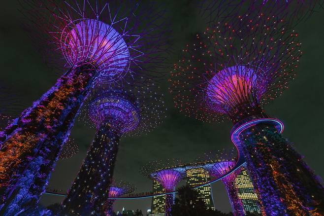 가든스 바이 더 베이.