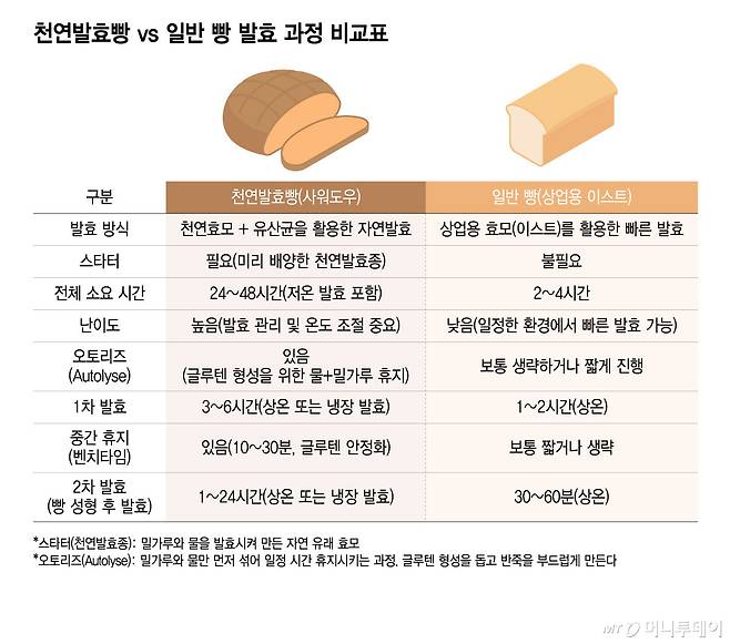 천연발효빵 vs 일반 빵 발효 과정 비교표/그래픽=윤선정