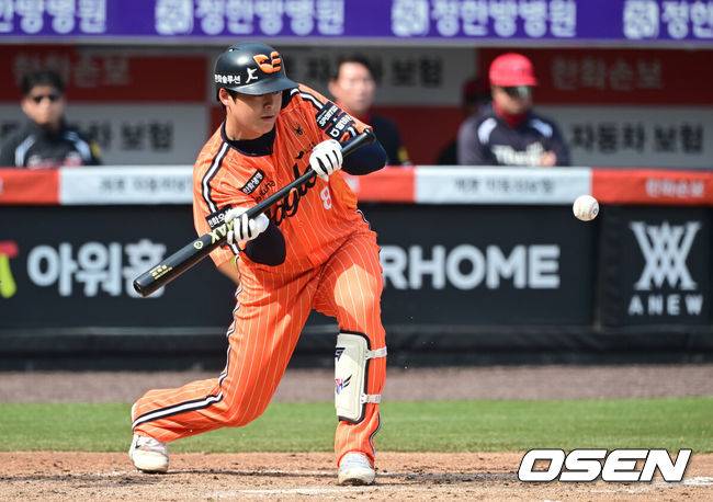 [OSEN=대전, 최규한 기자] 11일 대전 한화생명볼파크에서 ‘2026 신한 SOL KBO리그’ 한화 이글스와 KIA 타이거즈의 경기가 열렸다.홈팀 한화는 왕옌청, 방문팀 KIA는 이의리를 선발로 내세웠다. 4회말 무사 1, 2루 상황 한화 노시환이 희생번트를 대고 있다. 2026.04.11 / dreamer@osen.co.kr