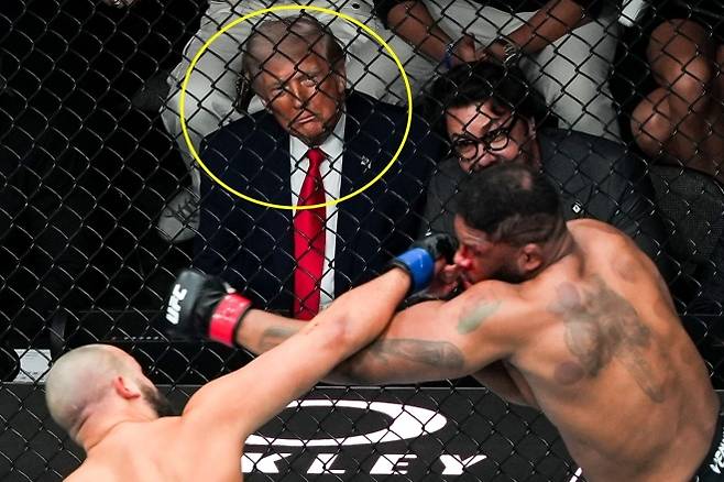 도널드 트럼프 대통령이 11일 (현지시간) 플로리다주 마이애미에서 열린 UFC 327 경기를 관람하고 있다. AP 연합뉴스