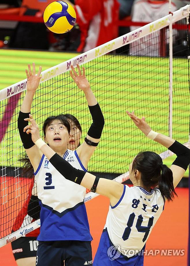 토스하는 김다인 (광주=연합뉴스) 조남수 기자 = 4일 광주 서구 페퍼스타디움에서 열린 프로배구 V리그 여자부 페퍼저축은행과 현대건설의 경기. 현대건설 김다인이 양효진에게 토스하고 있다. 2026.2.4 iso64@yna.co.kr