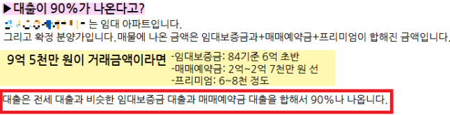 민간임대주택 관련 홍보 블로그(블로그 홍보내용 재구성)./사진=금융감독원