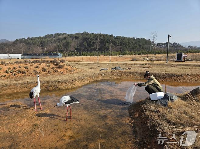 전북 부안 새만금환경생태단지 내에 설치된 황새 모형 둠벙.(국립공원공단 새만금환경생태단지관리단 제공. 재판매 및 DB금지)