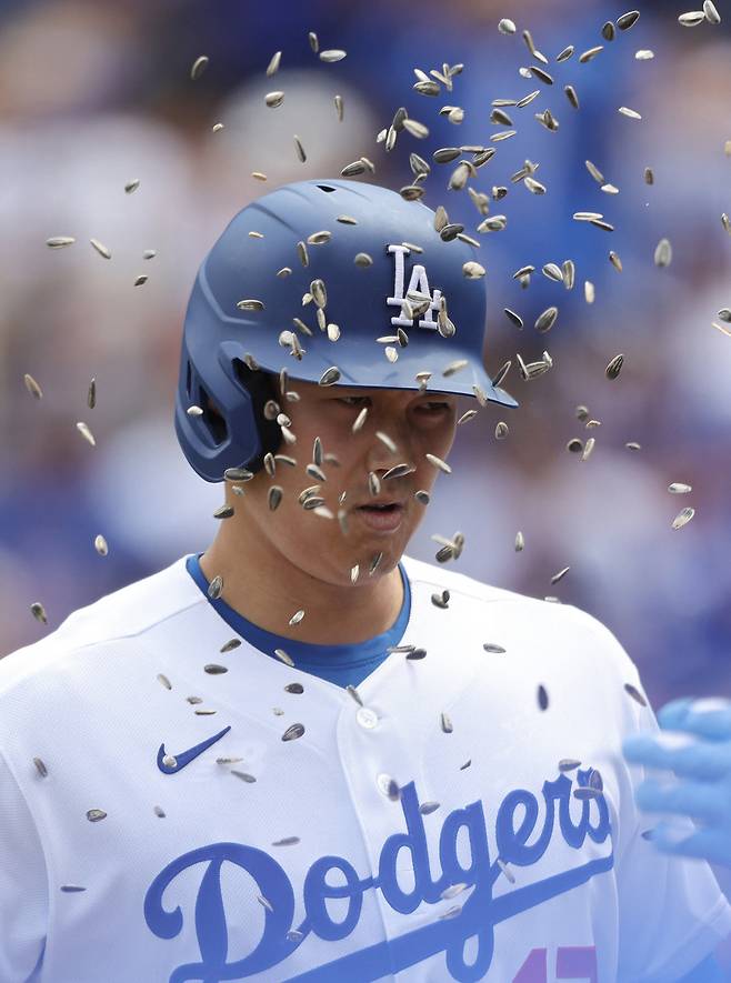 LA 다저스 오타니 쇼헤이가 13일(한국시각) 다저스타디움에서 벌어진 텍사스 레인저스와의 경기에서 1회말 우월 솔로홈런을 터뜨리고 들어와 앤디 파헤스의 해바라기씨 세례를 받고 있다. 오타니는 이틀 연속 리드오프 홈런을 때리며 시즌 5홈런을 기록했다. AFP연합뉴스