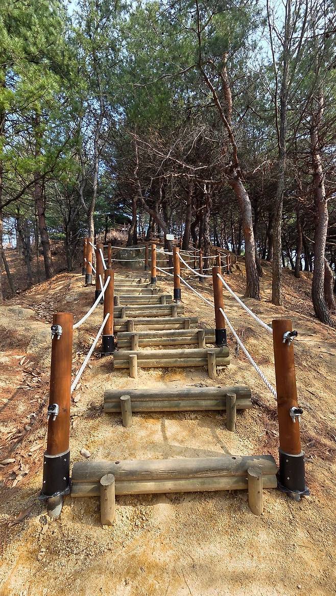 강릉시 주민참여예산 지역회의 최우수사업에 선정된 성덕동 월대산 둘레길. 강릉시 제공