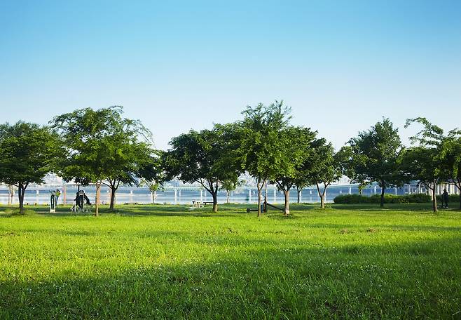 참진드기는 주로 풀밭에 서식하므로 야외활동을 할 때 접촉에 대한 주의가 필요하다.​/사진=클립아트코리아