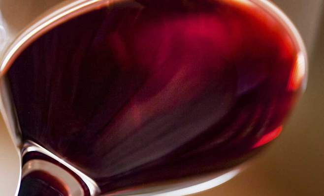 내분비내과 전문의 우창윤 원장이 뱃살이 찌는 주범 중 하나로 술을 꼽았다./사진=클립아트코리아