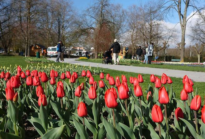 지난달 27일(현지시간) 스위스의 한 도시에서 열린 튤립 축제 기간 동안 방문객들이 공원을 거닐고 있다. 로이터=연합뉴스