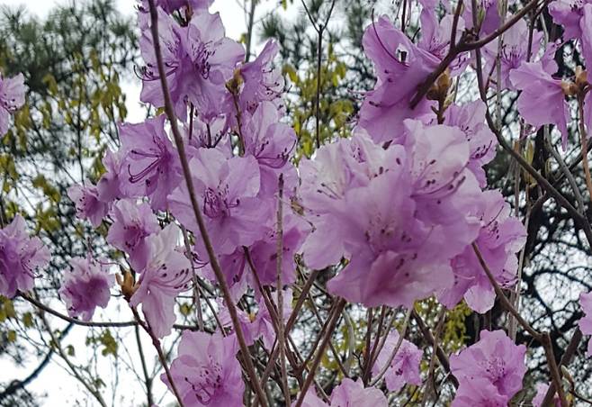 /사진제공=필자