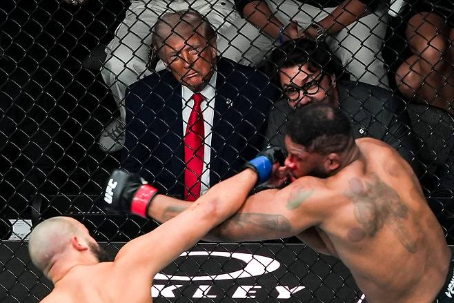 도널드 트럼프 미국 대통령(왼쪽 두 번째) 지난 11일(현지시간) 플로리다주 마이애미 카세야 센터에서 열린 UFC 327 경기를 관람하고 있다. [AP]