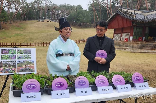 허민(왼쪽) 국가유산청장이 11일 남양주 사릉 고유제의 초헌관 복장으로 안호 궁능유적본부장 직무대리와 함께 장릉에 옮겨 심을 6종의 들꽃들을 소개하고 있다. 이들은 단종의 왕비 정순왕후를 상징하는 자주색(보라빛) 꽃을 피울 예정이다. 최수문기자