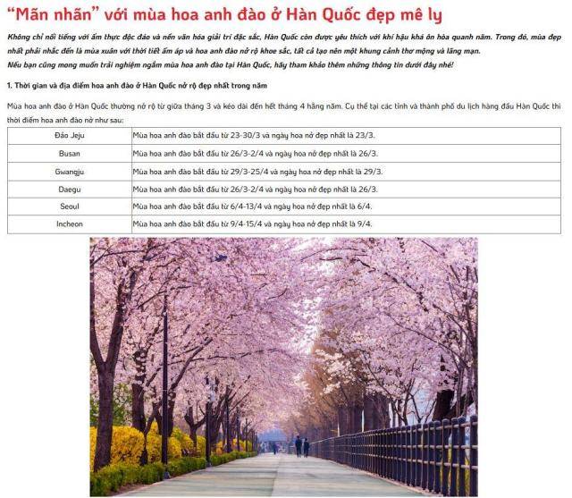 비엣젯항공이 소개하는 한국의 벚꽃 개화 시기 [사진=비엣젯항공 홈페이지 갈무리]
