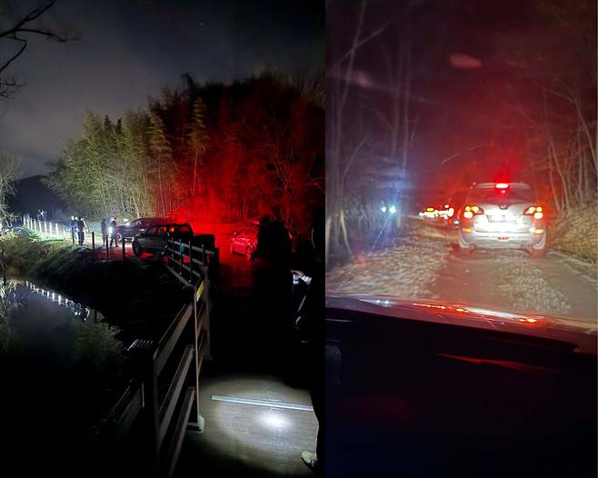 지난 12일 새벽 충남 예산군에 있는 저수지 살목지로 향하는 자동차 행렬이 이어지고 있다. /X(엑스) 캡처