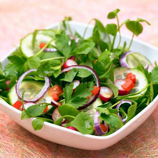 유럽이나 중동 일부 국가에서는 샐러드 재료로 쇠비름이 자주 사용된다. 클립아트코리아 제공