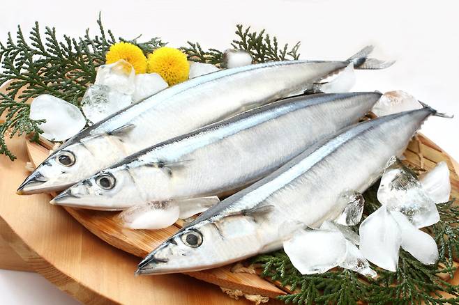 게티이미지뱅크