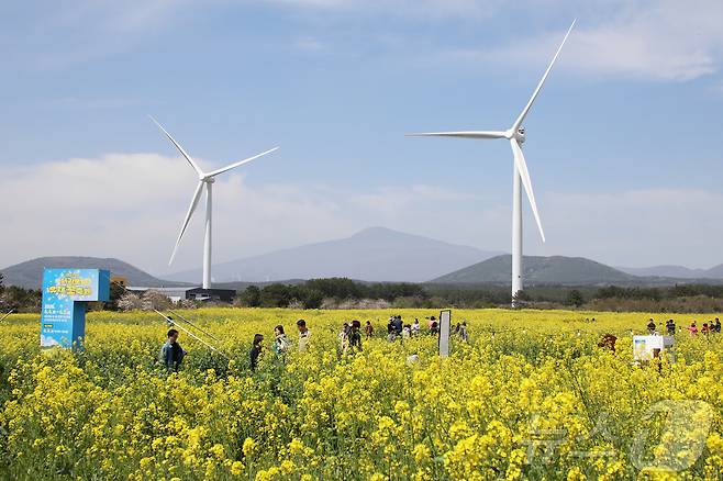 제43회 서귀포유채꽃축제가 열리고 있는 5일 오전 제주 서귀포시 표선면 가시리 유채꽃 광장에서 상춘객들이 봄을 만끽하고 있다. 2026.4.5 ⓒ 뉴스1 오미란 기자