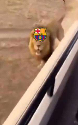 달려오는 사자 캡처=아틀레티코 마드리드 구단 공식 X