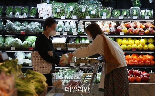 서울 시내 한 대형마트에서 고객들이 장을 보고 있는 모습.ⓒ뉴시스