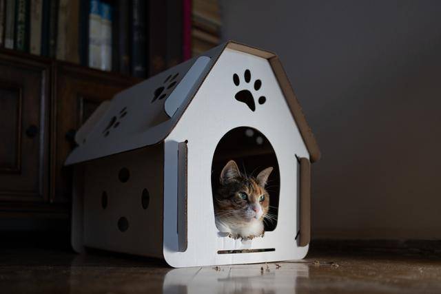 게티이미지뱅크