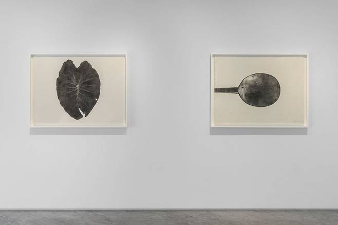 주로 자연 풍경을 담는 작가의 유일한 스튜디오 시리즈, 'Thing'. /Courtesy of PKM Gallery.