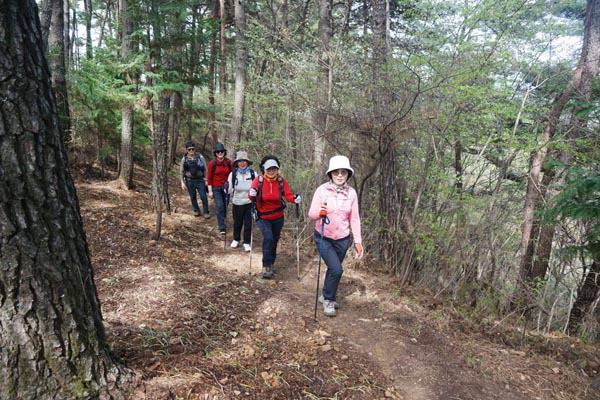 부산 영도구 ‘종점산방’ 회원들이 요즘 영화 ‘왕이 사는 남자’로 주목 받는 단종에게 절개를 지킨 조려의 충절을 기려 이름지어진 경남 함안 군북 백이산과 숙제봉의 산허리를 따라 8자 형태로 조성된 둘레길을 걷고 있다.
