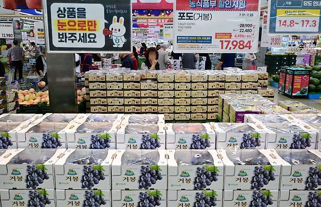 서울 서초구 하나로마트 양재점에서 시민들이 과일을 고르고 있다. 이상섭 기자