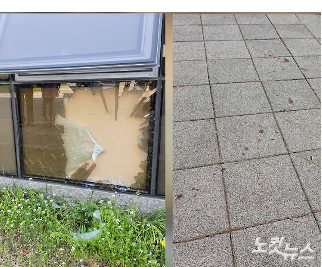 멧돼지가 들이받은 한국국책연구원 1층 하단 유리창. 이곳부터 1km 가량 핏자국이 이어져있다. 박우경 기자