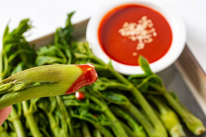 끓는 물에 소금을 약간 넣고 1~2분 데친 뒤 찬물에 헹궈내면 두릅 숙회가 완성된다. 클립아트코리아 제공